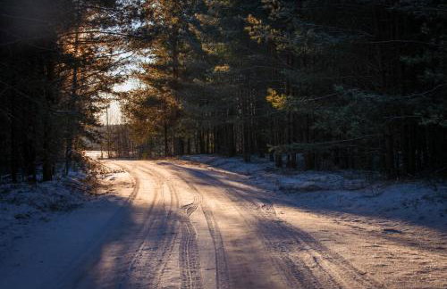 Zielony domek nad Marychą w Budwieć - Foto 48