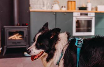 Garczovka - domki, jacuzzi, sauna - Foto 18