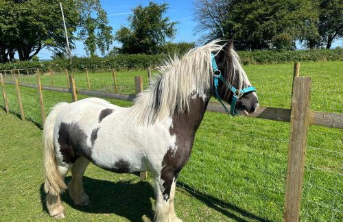 Pheasants Nook - Foto 27