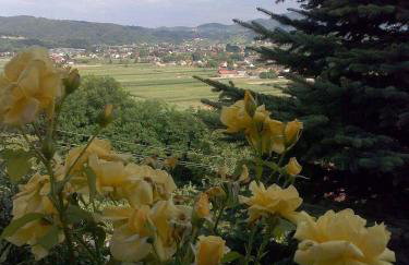 Kuća Za Odmor Barbara - Photo 37