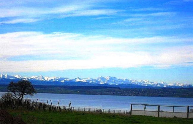 Villa Lake Constance View - Photo 16