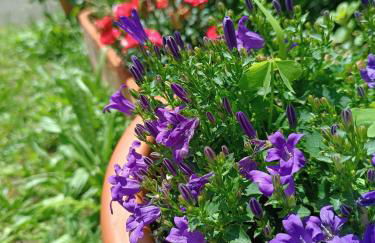 Mar Tu Apartamento en Llanes - Foto 40