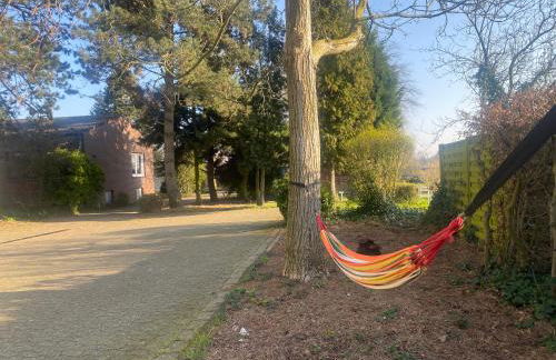 Hübsches Cottage in ehemaliger Gärtnerei - Foto 13