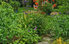 Marthas Insel - Foto 12