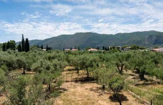 SaltWater Suites Zante - Foto 31