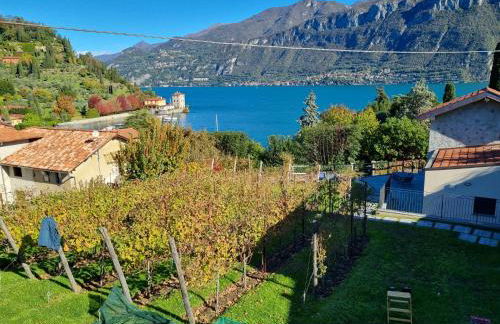 Bellagio Il Crotto - Foto 55