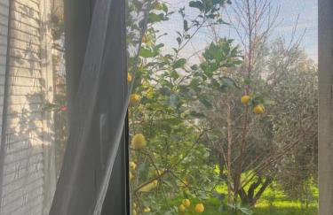 D&S home oinofita - Foto 32