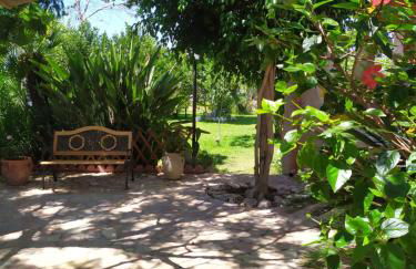 I Ciusiddi - Foto 37