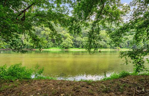 Screened Porch w Swing, Fire Pit, Grill & Deck - Photo 56