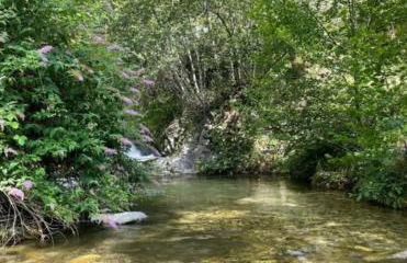 Appartement dans la nature - Foto 10