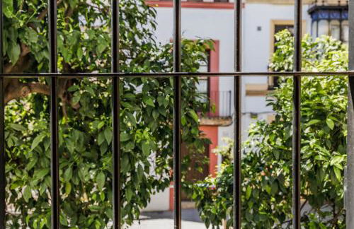 Casa Los Naranjos - Terraza en el Casco Histórico - Foto 29