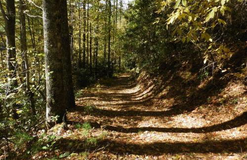 Nantahala Spiritual Retreat - Remote and Peaceful! - Foto 49