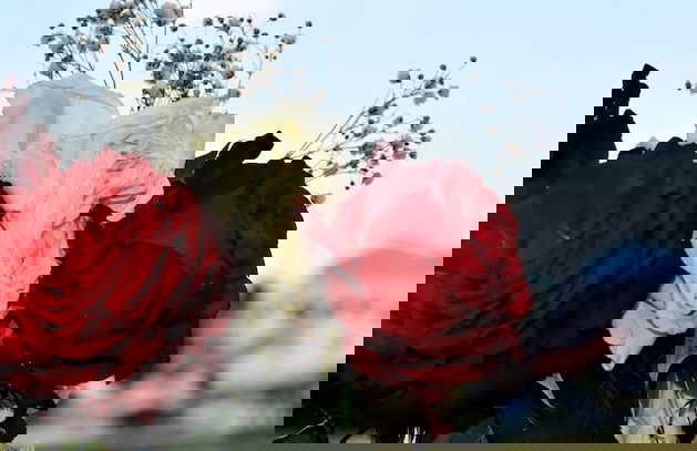 Hôtel Résidence Kabila Vista - Photo 44