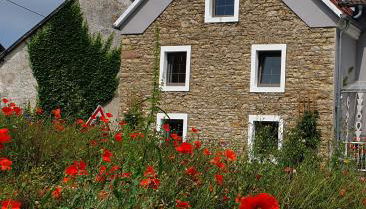 Ferienhaus am Eifelsteig - Foto 4