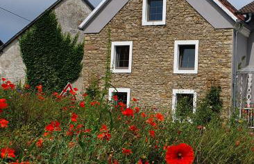 Ferienhaus am Eifelsteig - Foto 4