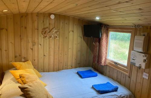 The Shepherd's Hut with cozy logburner - Foto 17