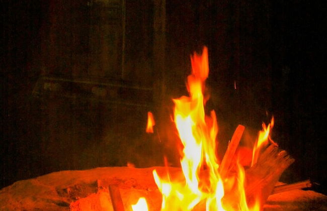 Natural Garden Glamping - Foto 12