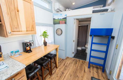 Tiny House Leadville Colorado - Foto 73