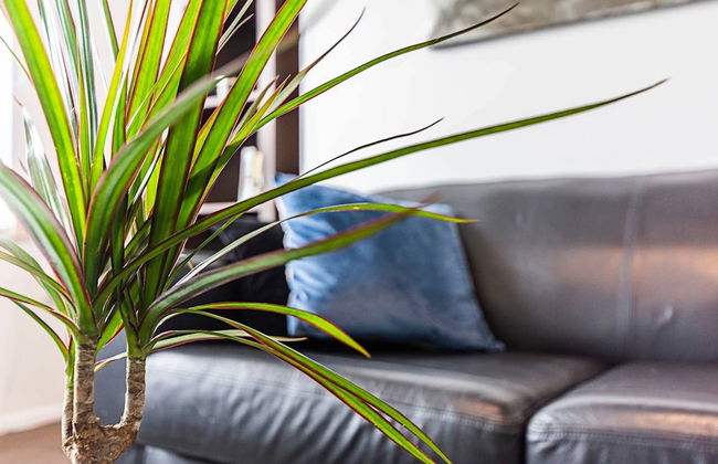 Magnificent and centrally located flat - Foto 13