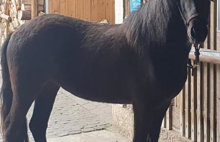 Studio Kaline - Foto 35