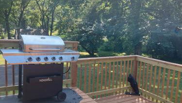 The Green House - Foto 3