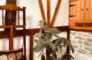 Tawny Owl Barn - Foto 13