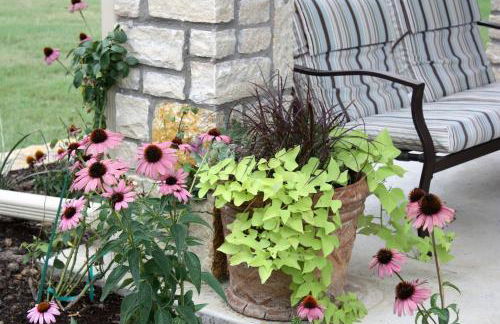 Peaceful Cottage on Farm in Idyllic Countryside near Fort Worth, Texas - Photo 11