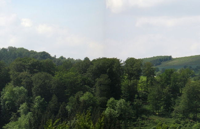 Holiday Home in Mielinghausen Near ski Area - Foto 21