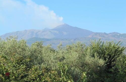 Villa Vecchio - Foto 24