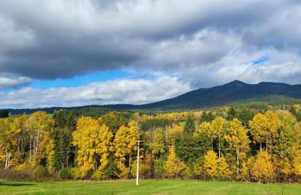 Ferienwohnung Osser Woid - Foto 36