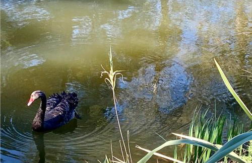 Les Bastides 30281 - Foto 25