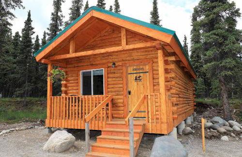 Denali Tri-Valley Cabins - Foto 2