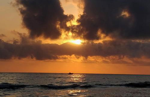 Hello Oliva Beach Alter - Photo 39