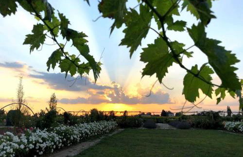 Il Fienile di Assisi - Photo 62
