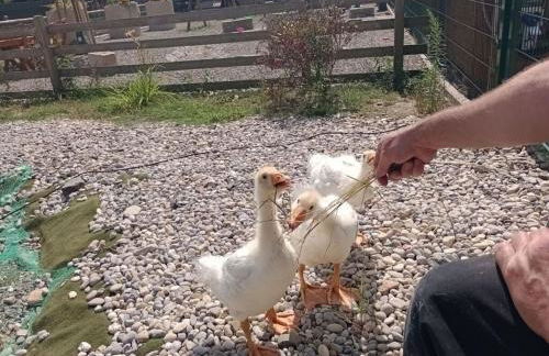 Nice apartment in Himmelkron - Foto 21