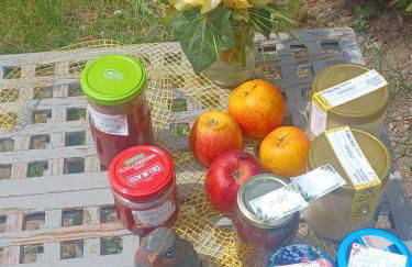 Zimmer und Apartment Rosi - Foto 7