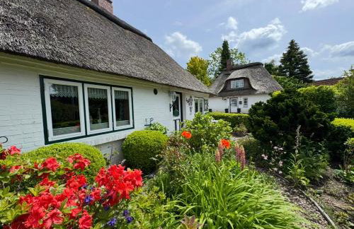 Emmis-Ferienhaus - Foto 24