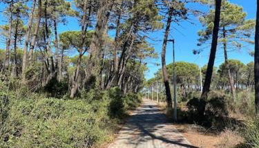 Casa Lucia a due passi dal mare Wi-Fi free parking - Foto 5