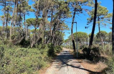 Casa Lucia a due passi dal mare Wi-Fi free parking - Foto 5