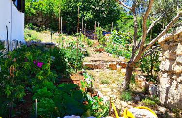 Weekend house Olive garden - Foto 16