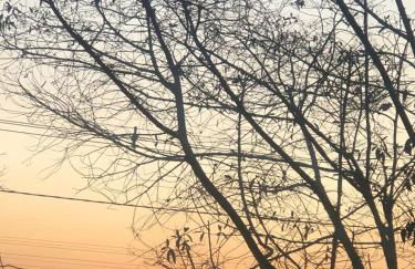 Casa de Campo Morada do Lago após Lagoa Santa - Foto 23