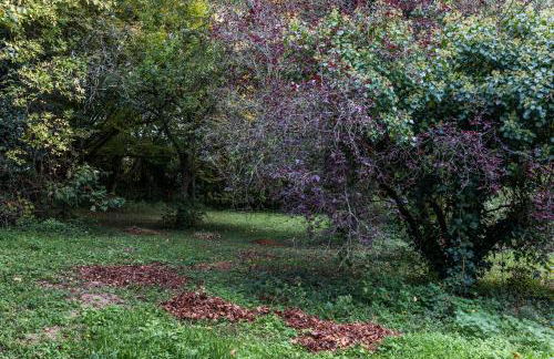 La Closerie du Cassereau - Foto 30