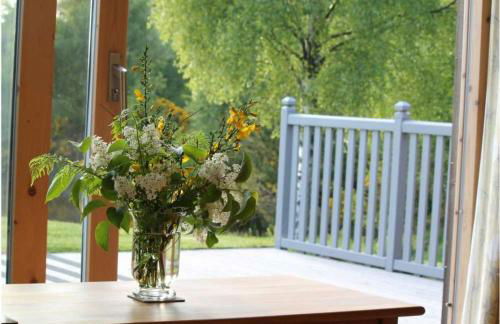 Fern Lodge - Luxury Lodge with steamroom in Perthshire - Photo 10