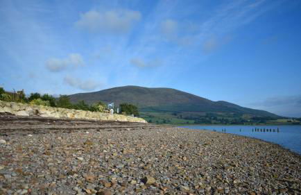Little Egret - Foto 26