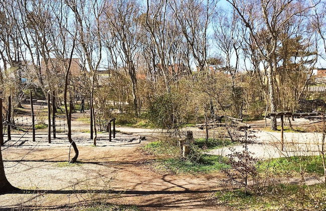 Luxury Retreat in Liseleje - By Traum Ferienwohnungen - Foto 33