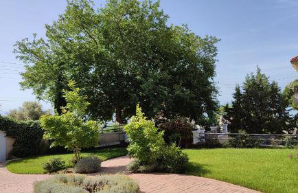 Guesthouse Michobeis - Foto 47