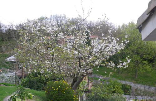 Casa Rural Higeralde - Foto 10