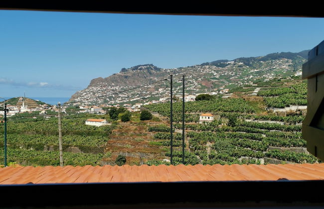 Villa Nova Madeira no Funchal Casa A e B - Photo 42