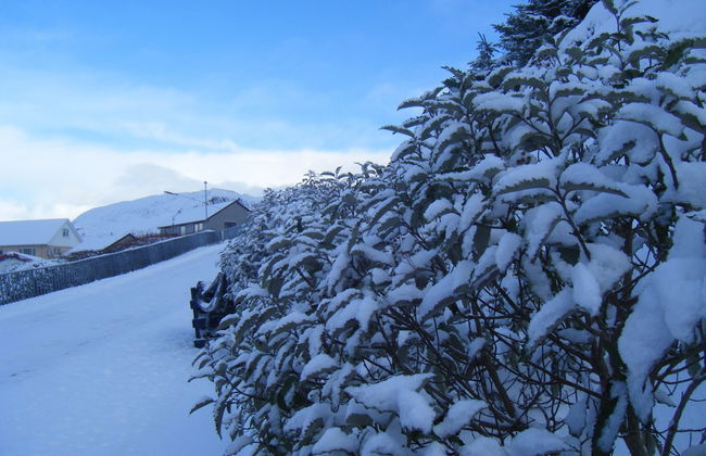 Easterhoull Chalets - Photo 47