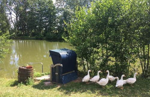 Ferienwohnung Schwabenhof - Foto 7